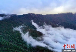 哀牢山,自然奇观与民族文化的瑰宝