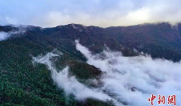 哀牢山,自然奇观与民族文化的瑰宝