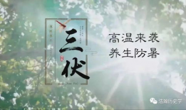 三伏天,盛夏酷暑的养生攻略与避暑秘籍