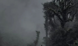 哀牢山,自然奇观与民族文化的瑰宝