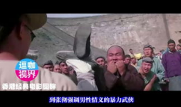 电影武打片,传奇武者的巅峰对决