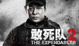 李连杰电影,武术传奇，银幕英雄