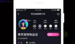 91直播是做什么的,揭秘热门直播平台的魅力所在