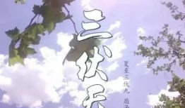 三伏天,盛夏酷暑的养生攻略与避暑秘籍