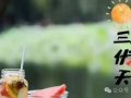 三伏天,盛夏酷暑的养生攻略与避暑秘籍