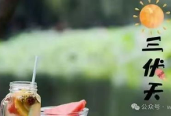 三伏天,盛夏酷暑的养生攻略与避暑秘籍