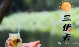 三伏天,盛夏酷暑的养生攻略与避暑秘籍