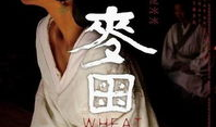 麦田电影,探寻心灵深处的麦田守望者